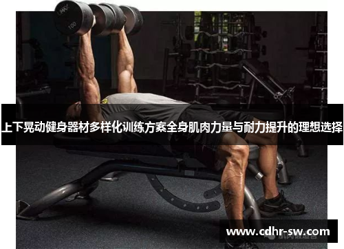 上下晃动健身器材多样化训练方案全身肌肉力量与耐力提升的理想选择