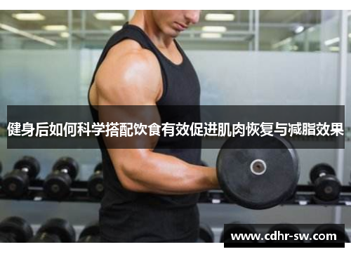 健身后如何科学搭配饮食有效促进肌肉恢复与减脂效果
