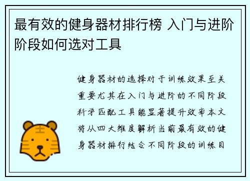 最有效的健身器材排行榜 入门与进阶阶段如何选对工具