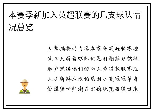 本赛季新加入英超联赛的几支球队情况总览